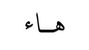 كلمات تنتهي بحرف الهاء