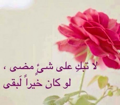 كلمات جميلة تويتر