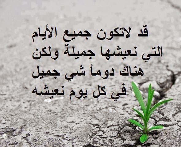 كلمات جميلة تويتر