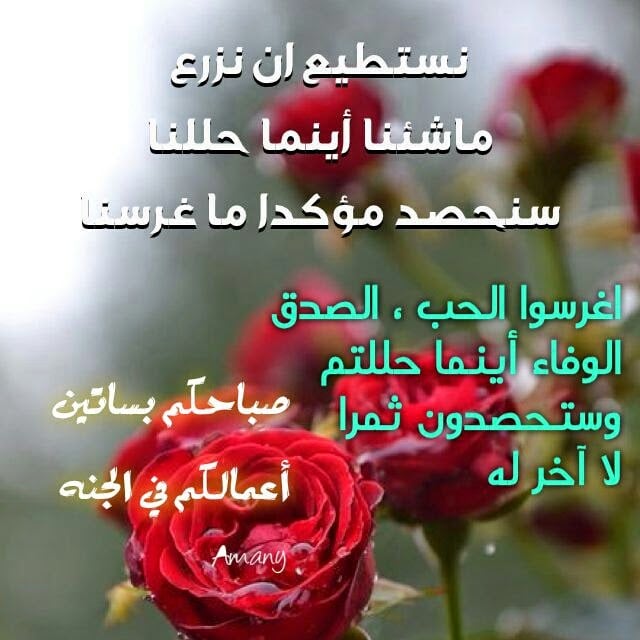 كلمات جميلة صباحية