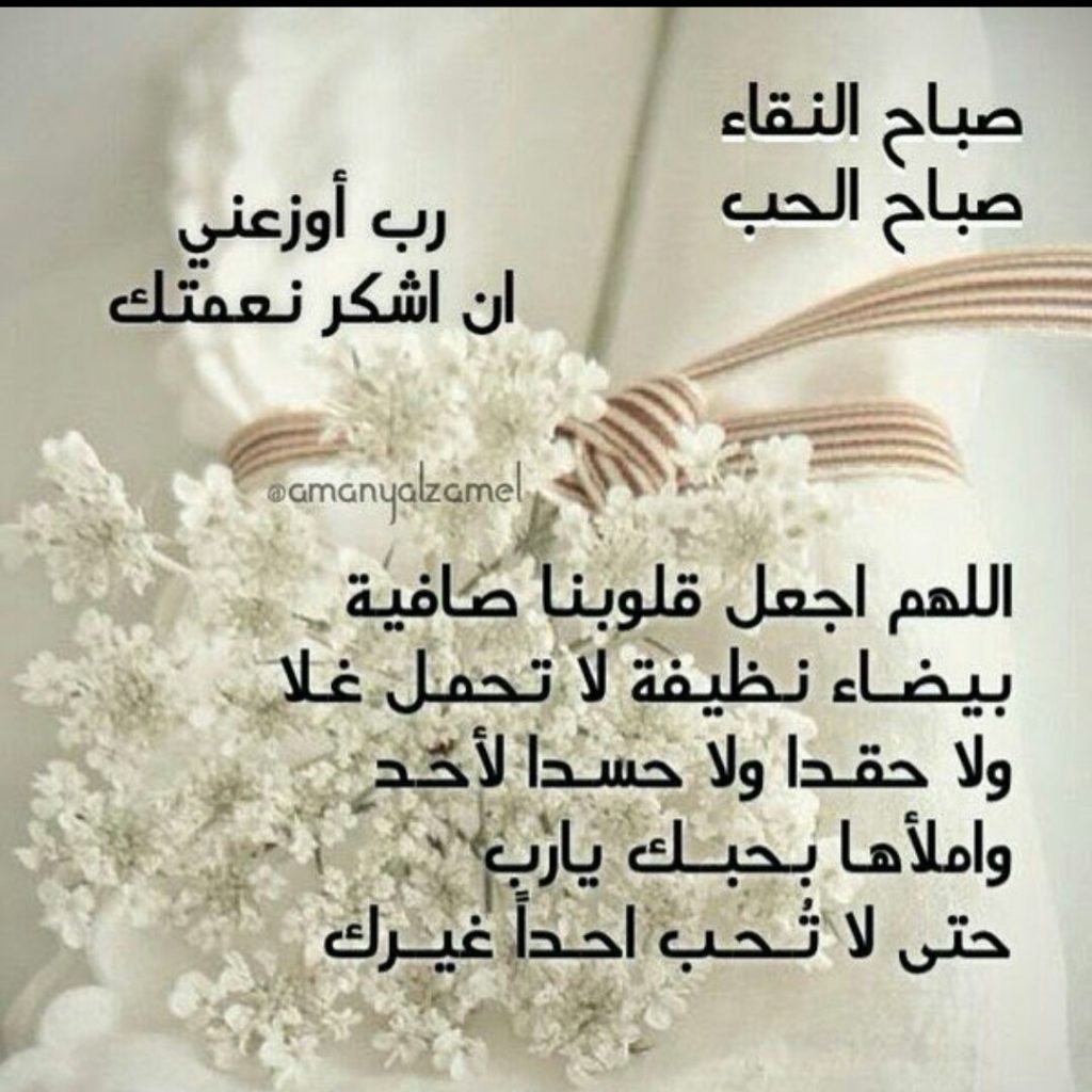 كلمات جميلة صباحية