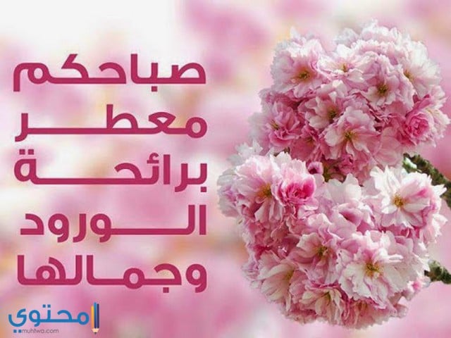 كلمات جميلة عن الصباح