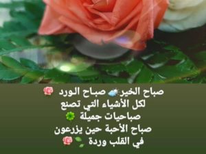 كلمات جميلة عن الصباح