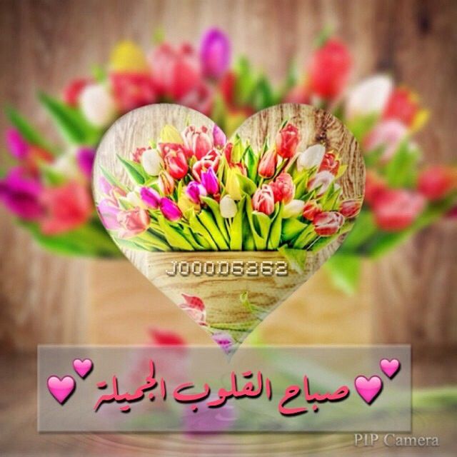 كلمات جميلة عن الصباح