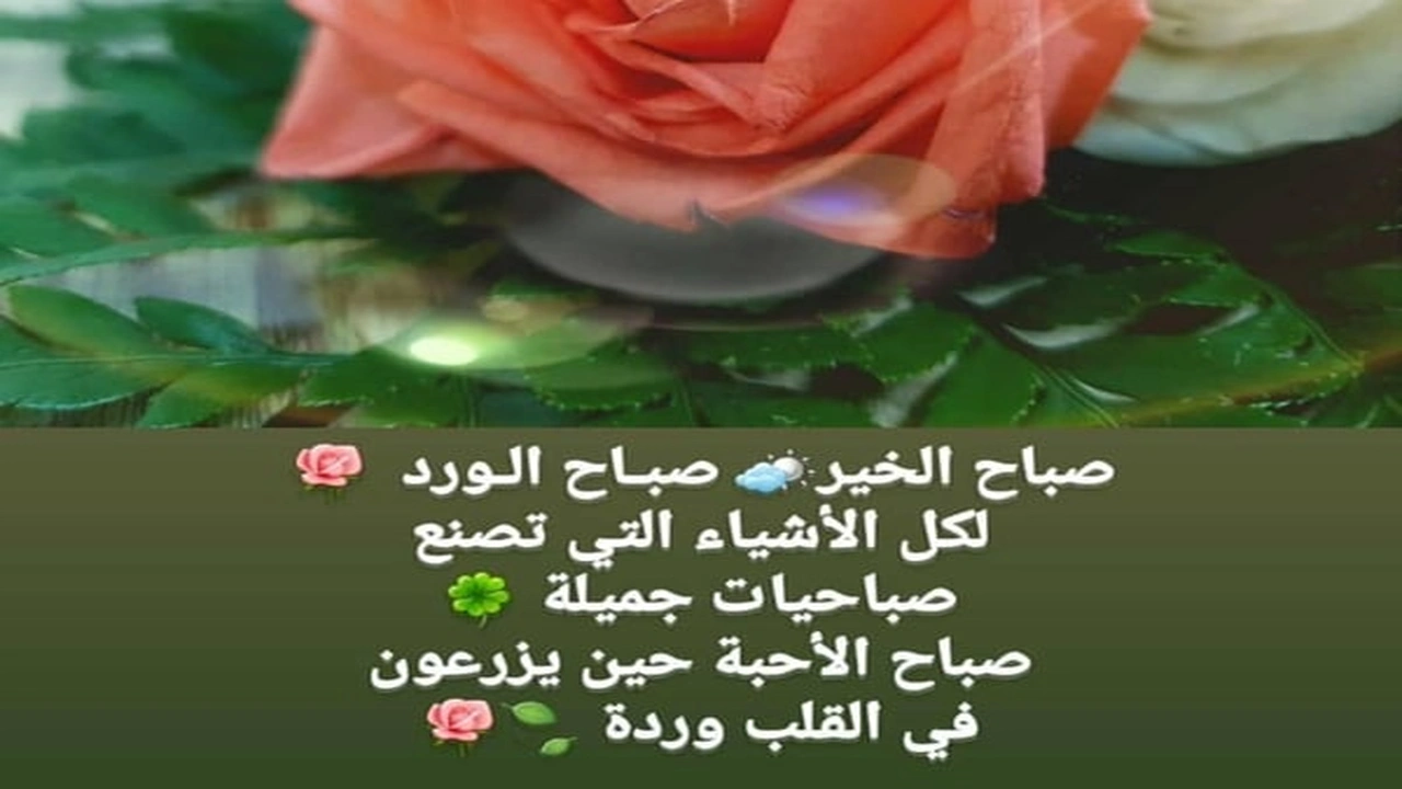 صورة كلمات جميلة عن الصباح
