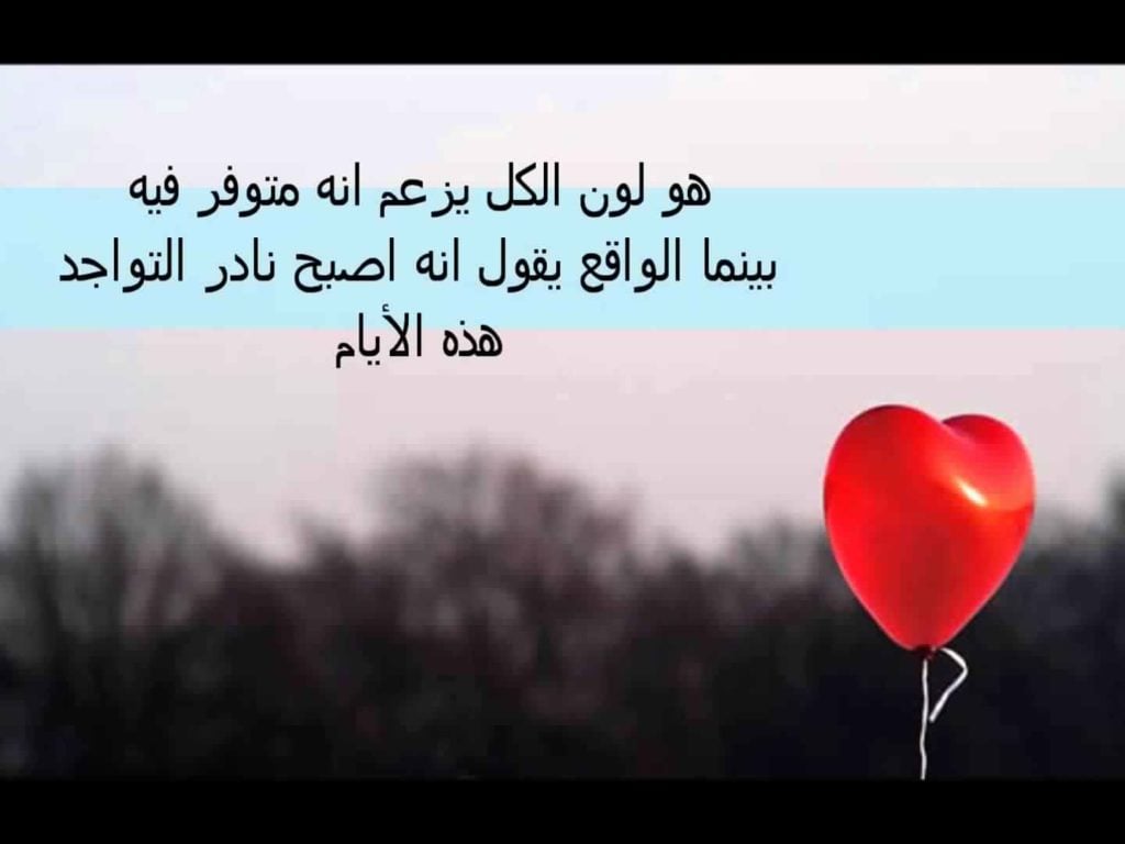 كلمات جميلة عن الصداقة