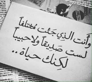 كلمات جميلة عن الصداقة