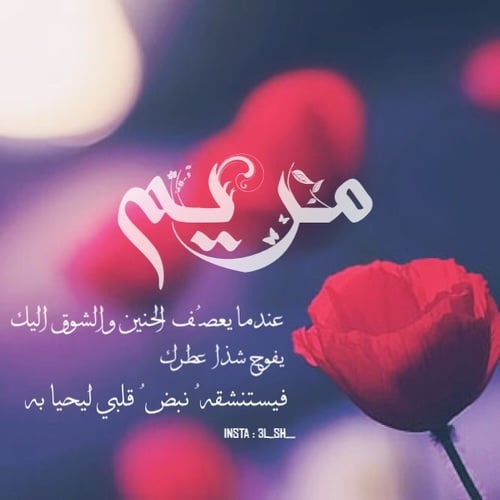 كلمات جميلة عن مريم