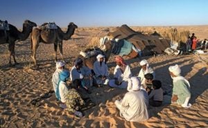 كلمات سعودية بدوية
