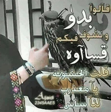 كلمات سعودية بدوية
