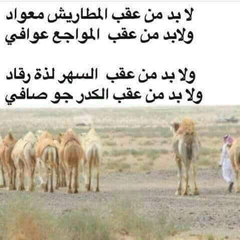 كلمات سعودية بدوية