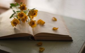 كلمات شكر لمن وقف معي