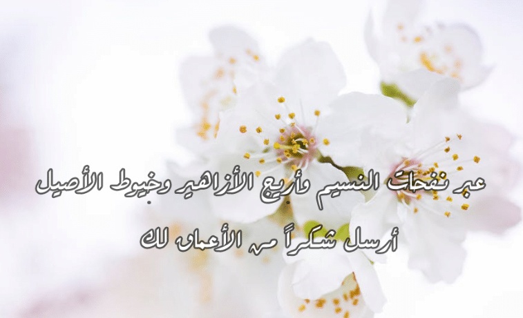 كلمات شكر وثناء لشخص عزيز