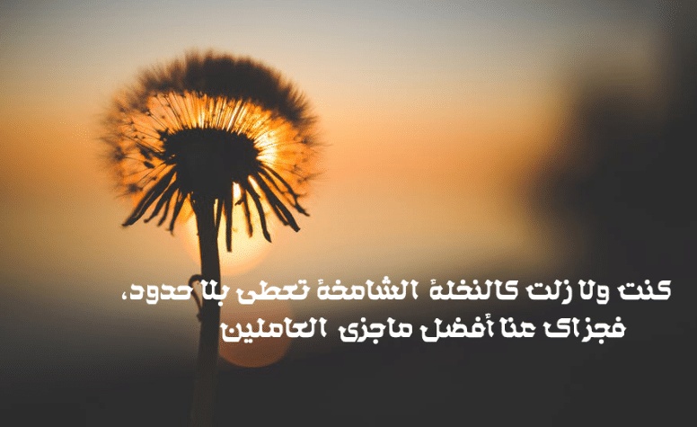 كلمات شكر وثناء لشخص عزيز