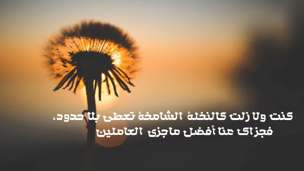 صورة كلمات شكر وثناء لشخص عزيز