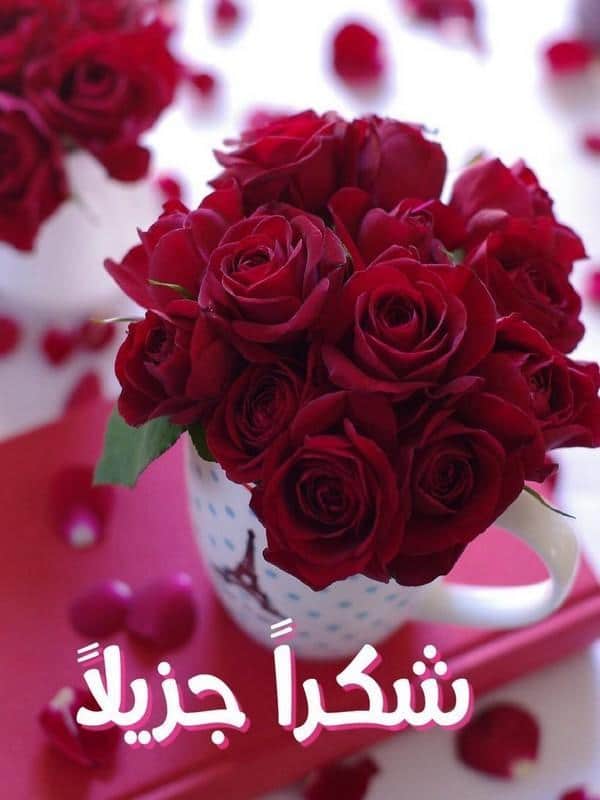 كلمات شكر