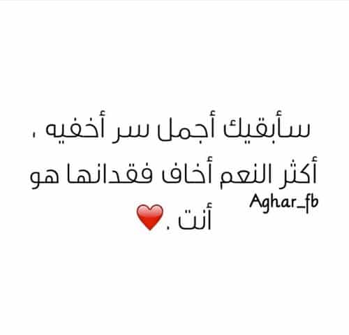 كلمات عن الحبيب السند