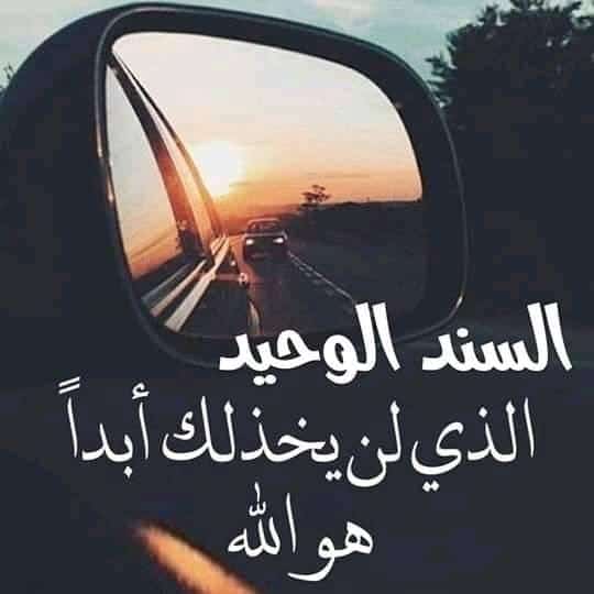 كلمات عن الحبيب السند