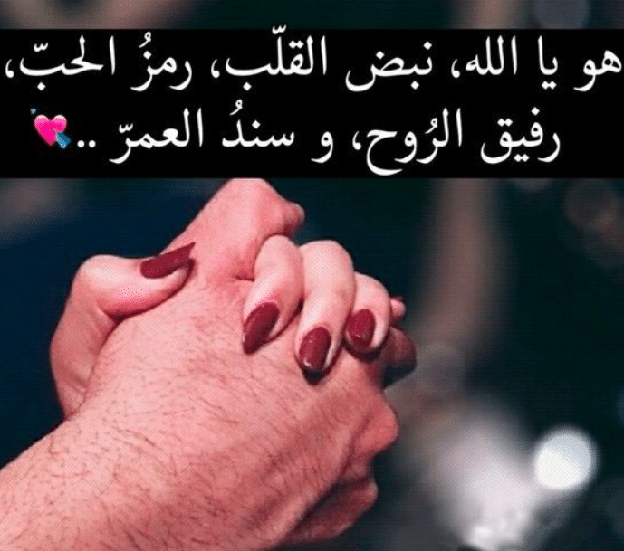 كلمات عن الحبيب السند