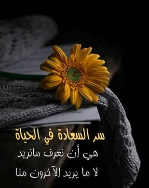 كلمات عن انتظار السعادة
