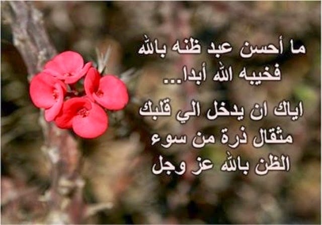 كلمات عن رحمة الله بعباده