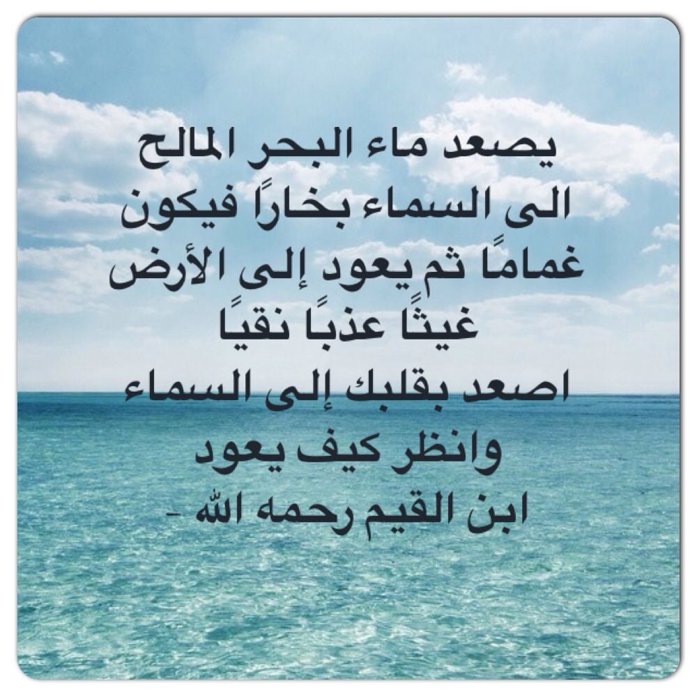 كلمات عن رحمة الله بعباده