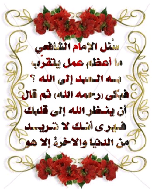 كلمات عن رحمة الله بعباده