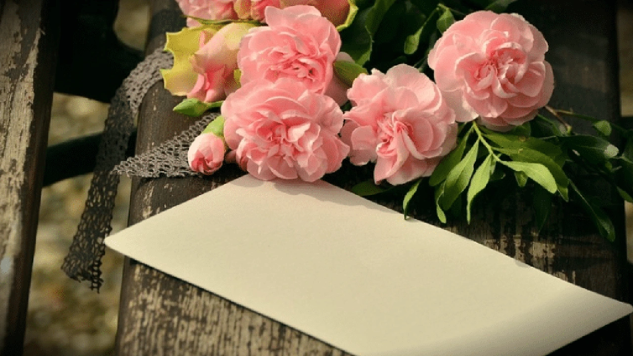 صورة كلمات فلسفة راقية