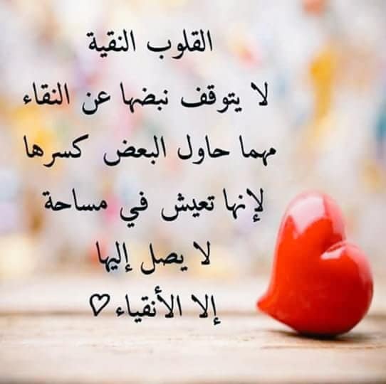 كلمات فلسفية مؤثرة