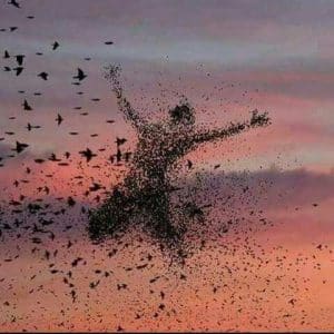 كلمات وحكم عن الحرية