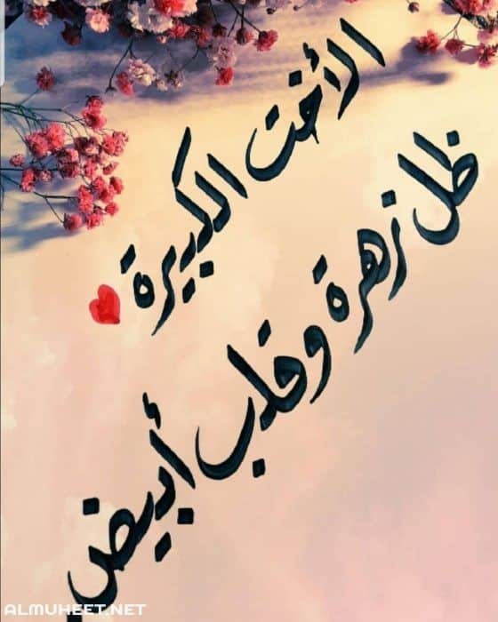 كلمات وصور عن الاخت