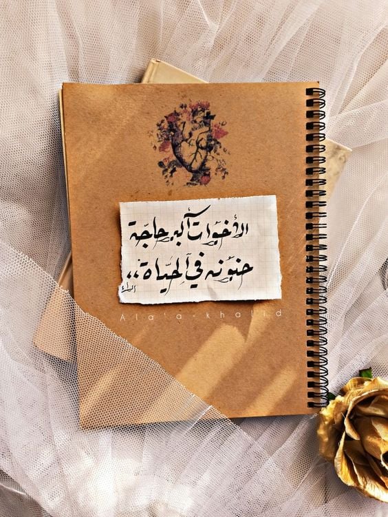 كلمات وصور عن الاخت