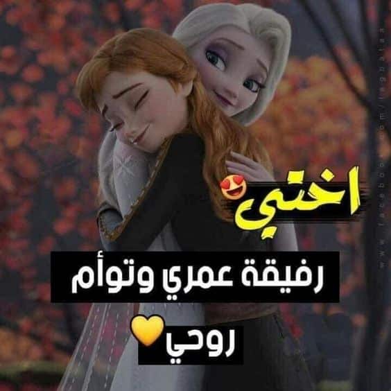كلمات وصور عن الاخت