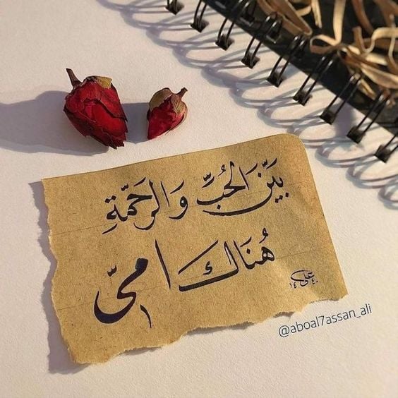 كلمات وصور عن الام