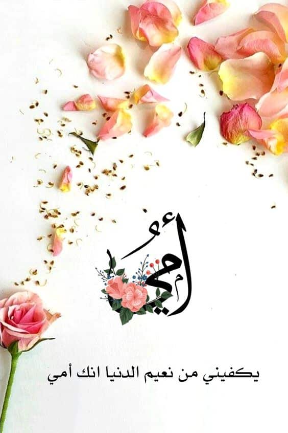 كلمات وصور عن الام