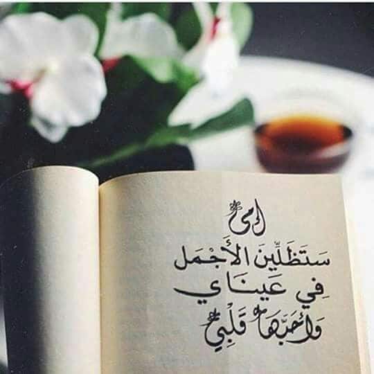 كلمات وصور عن الام