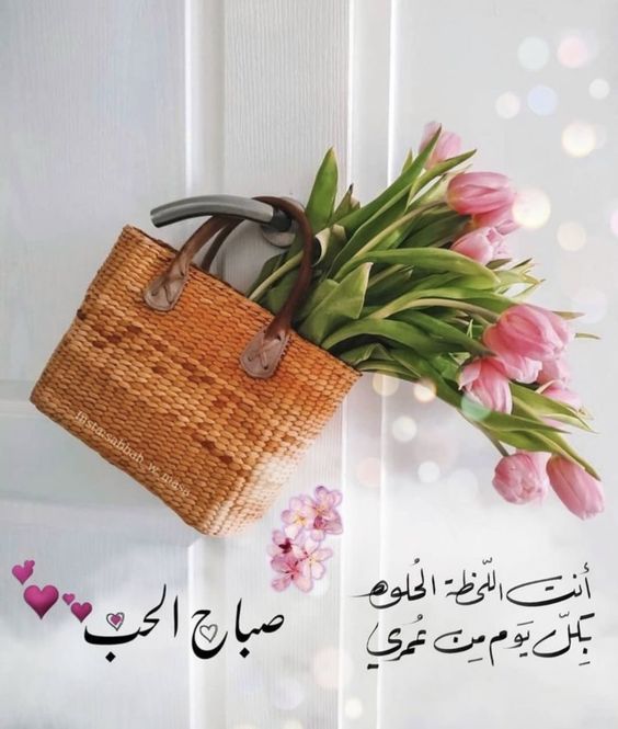 كلمات وصور عن الصباح