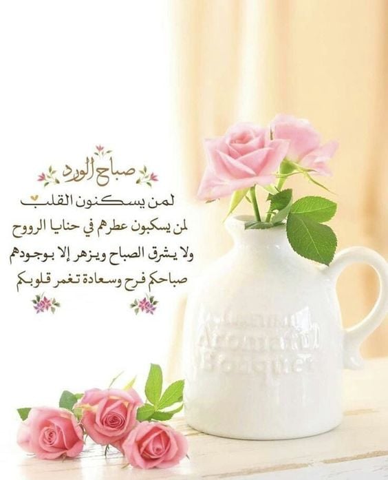 كلمات وصور عن الصباح