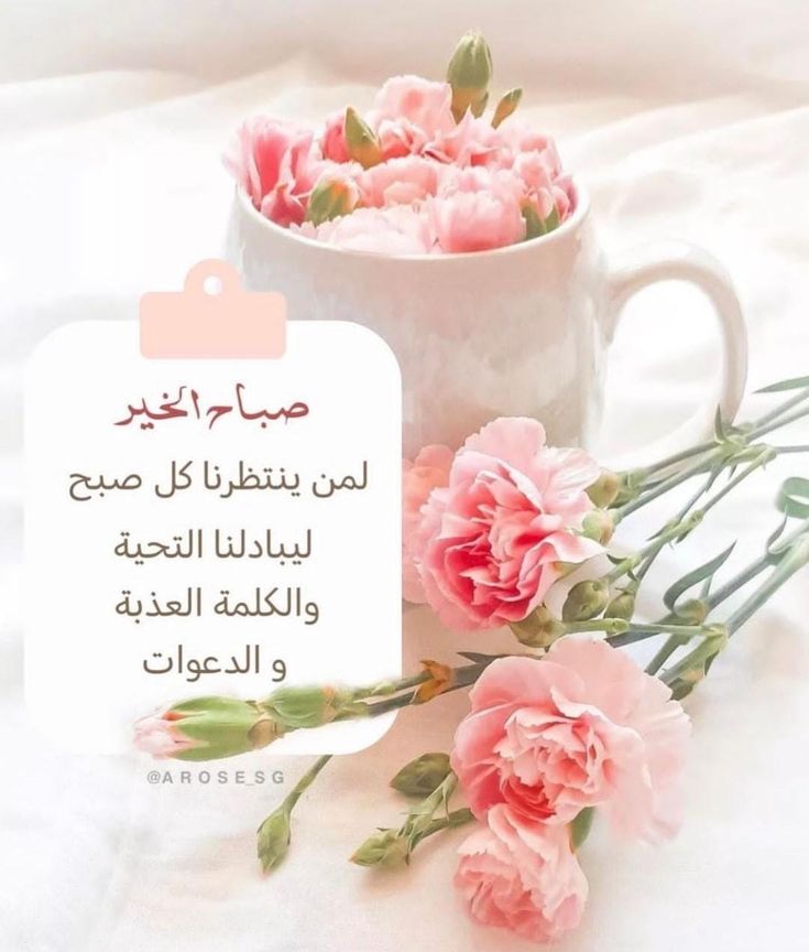 كلمات وصور عن الصباح