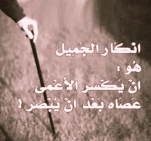كلمات وصور عن ناكر الجميل