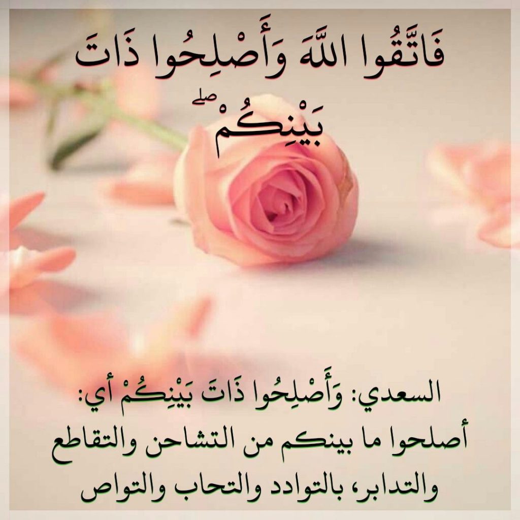 كلمة تقال في الصلح