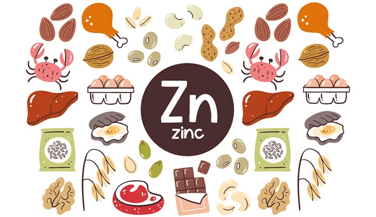 كم يحتاج الجسم من زنك في اليوم