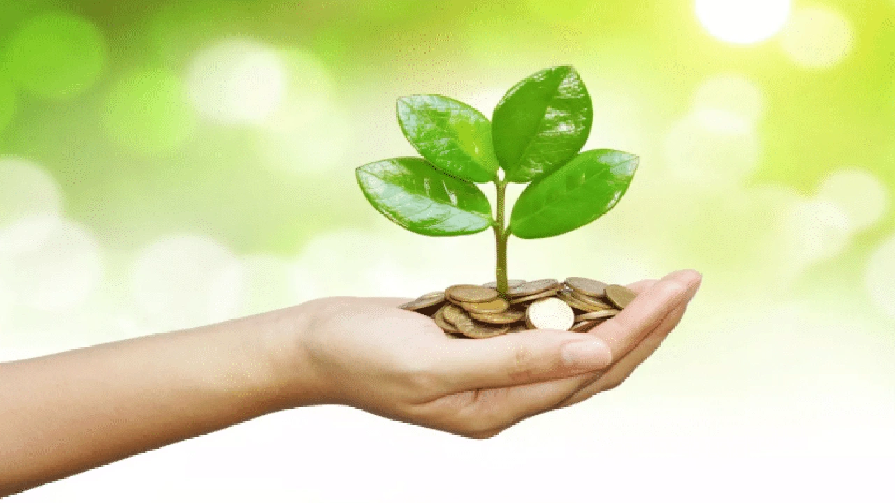 صورة كيف اسوي صدقه جاريه للميت