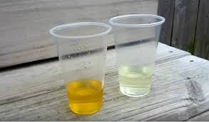 كيف اعرف اني حامل في البيت