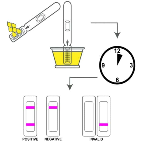 كيفية استخدام اختبار الحمل بالصور