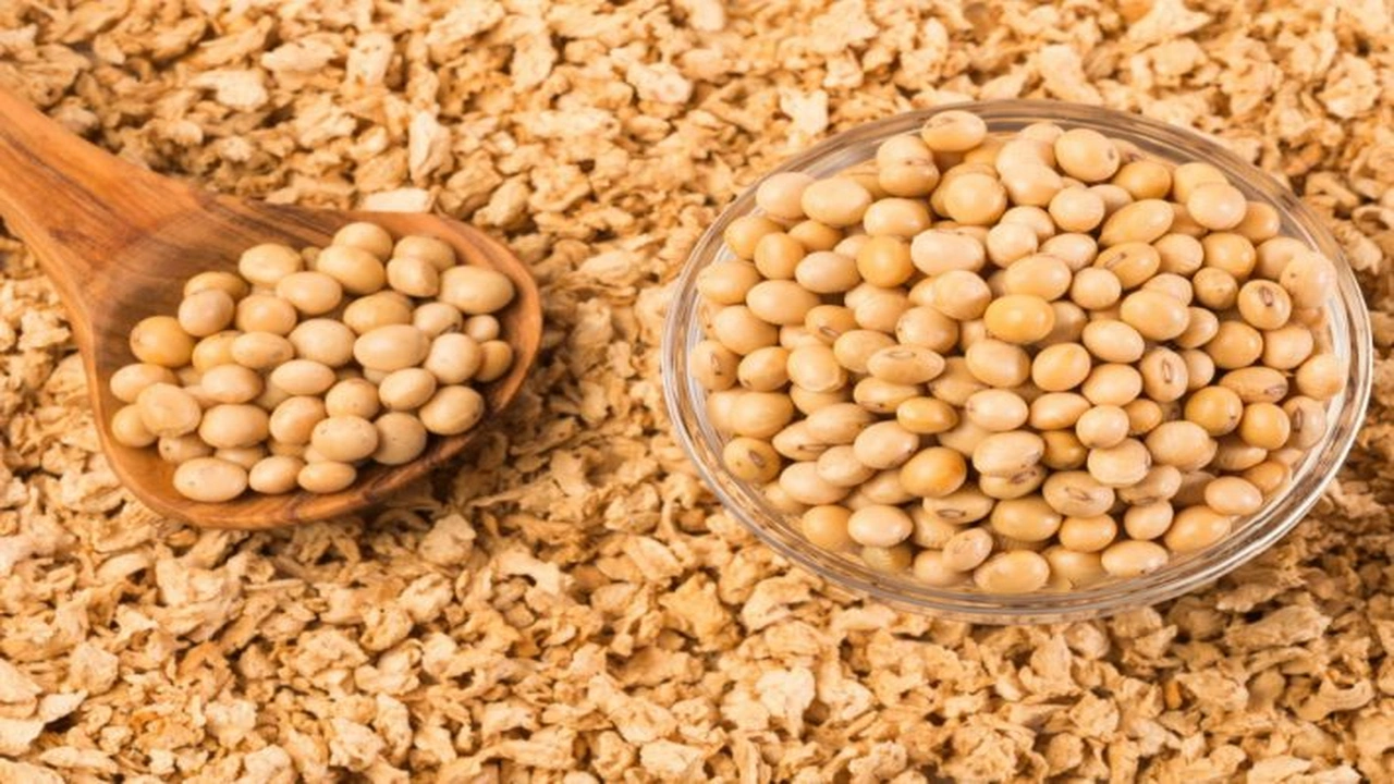 صورة كيفية استخدام فول الصويا المطحون لزيادة الوزن