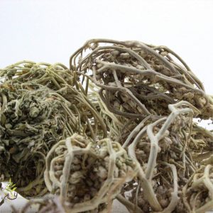 كيفية استعمال عشبة كف مريم