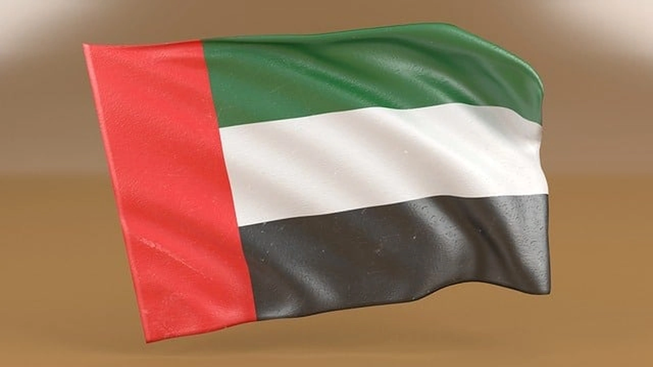 صورة كيفية طلب مساعدة مالية من الشيخ محمد بن زايد