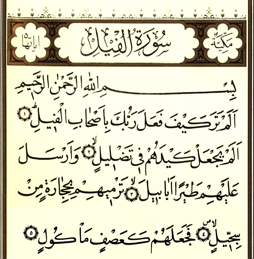 لحم الفيل في المنام