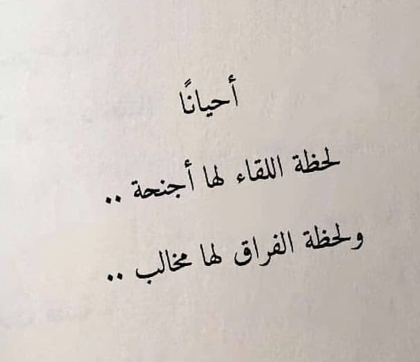 لقاء الحبيب بعد الفراق